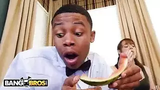 شيلي سويسري أزرق العينين