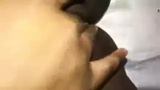 خشب الأبنوس طبيب سد