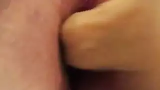 ضربحيونات معا حريم مترجم