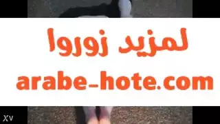 الحمار الساخنة العربية المغرب