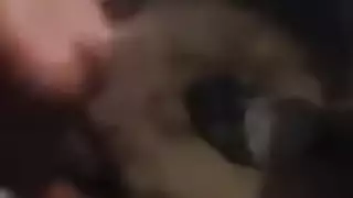 انطوني يشك ريم المكاحيل