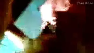 أسد امريكي بلا مأوى عجوز